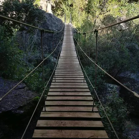 El Secret De La Llegenda El Drac Vilaverd